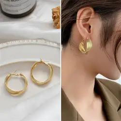 925 Silver Needle Retro Earring Geometric Luxury Golden Earrings Advanced Irregular Circle Earhook Exaggerated Earrings