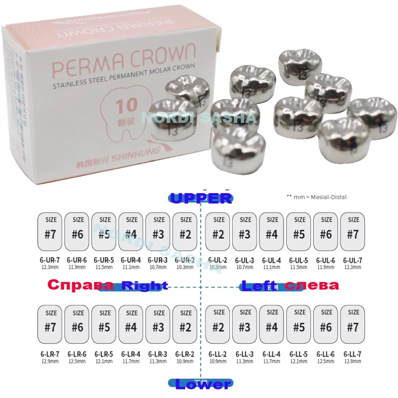 10Pcs/Box Dental Stainless Steel Kids Perma Crown Permanent Molar Preformed  Dental Kids Crown 1st 2nd Upper/Lower