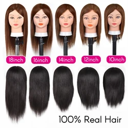 Mannequin Head with Hair 100% Real Human Hair 10-18'' Cosmetology Mannequin Head for Styling Practice on Braiding Manikin Head