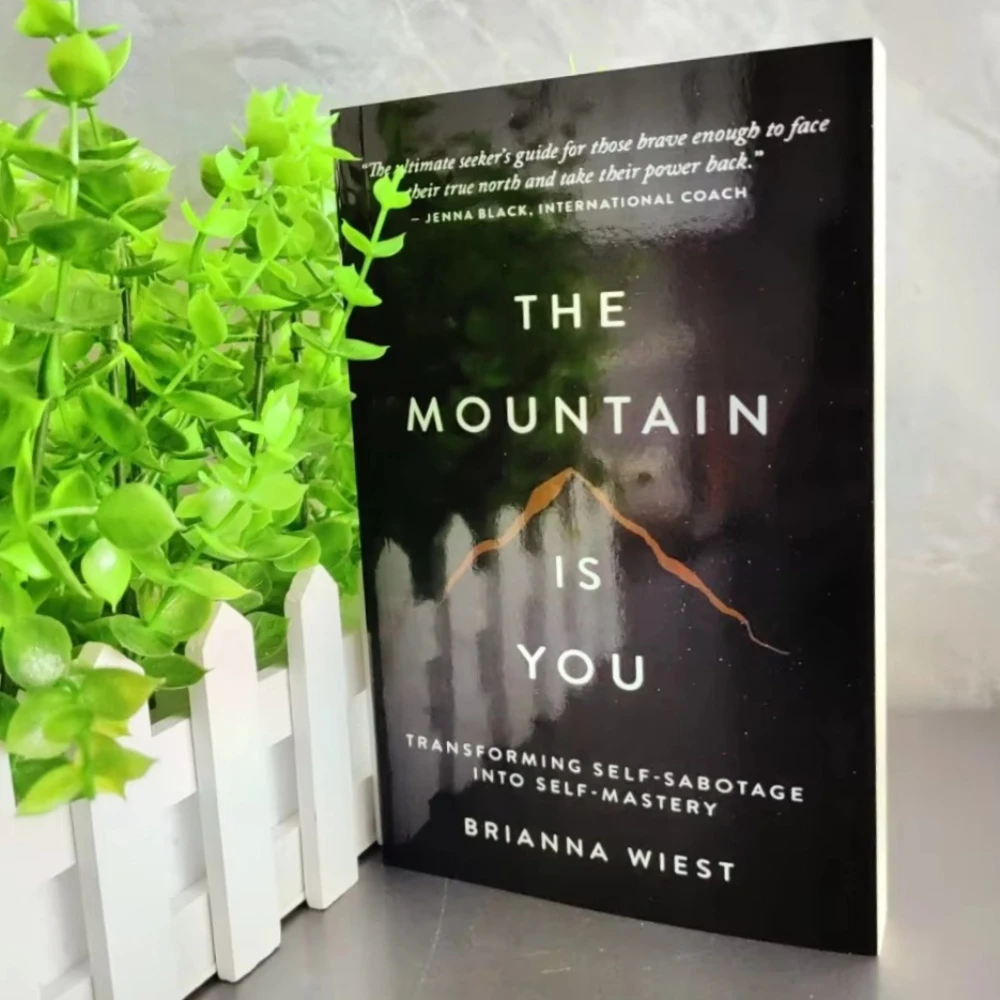 The Mountain Is You English Book Self Transformation Psychology Self Help Reading Book Inspirational Self Growth Novel