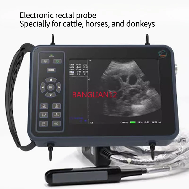 

Ветеринарный ультразвуковой аппарат B, вы можете выбрать специально для крупного рогатого скота, лошадей и осликов/специально для свиней и овец