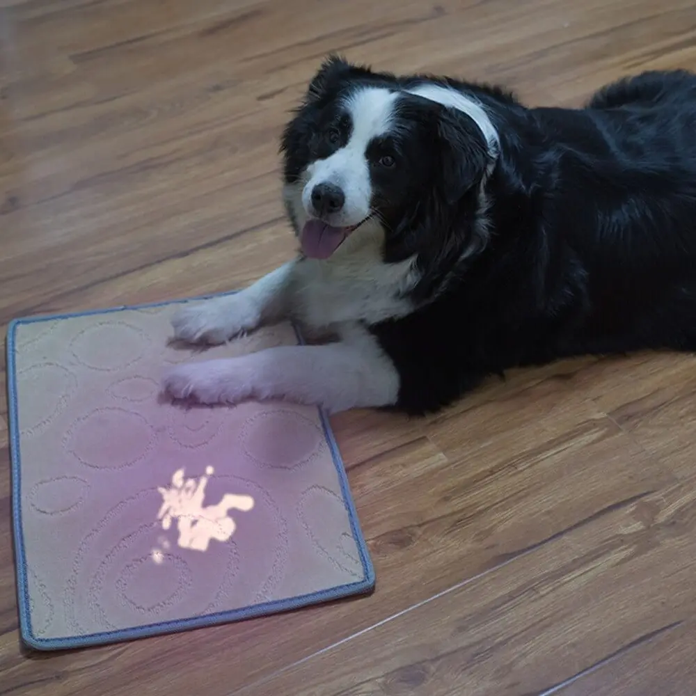 Weltool M2-OL "Barba Roxa" Lanterna LED Profissional UV 365nm