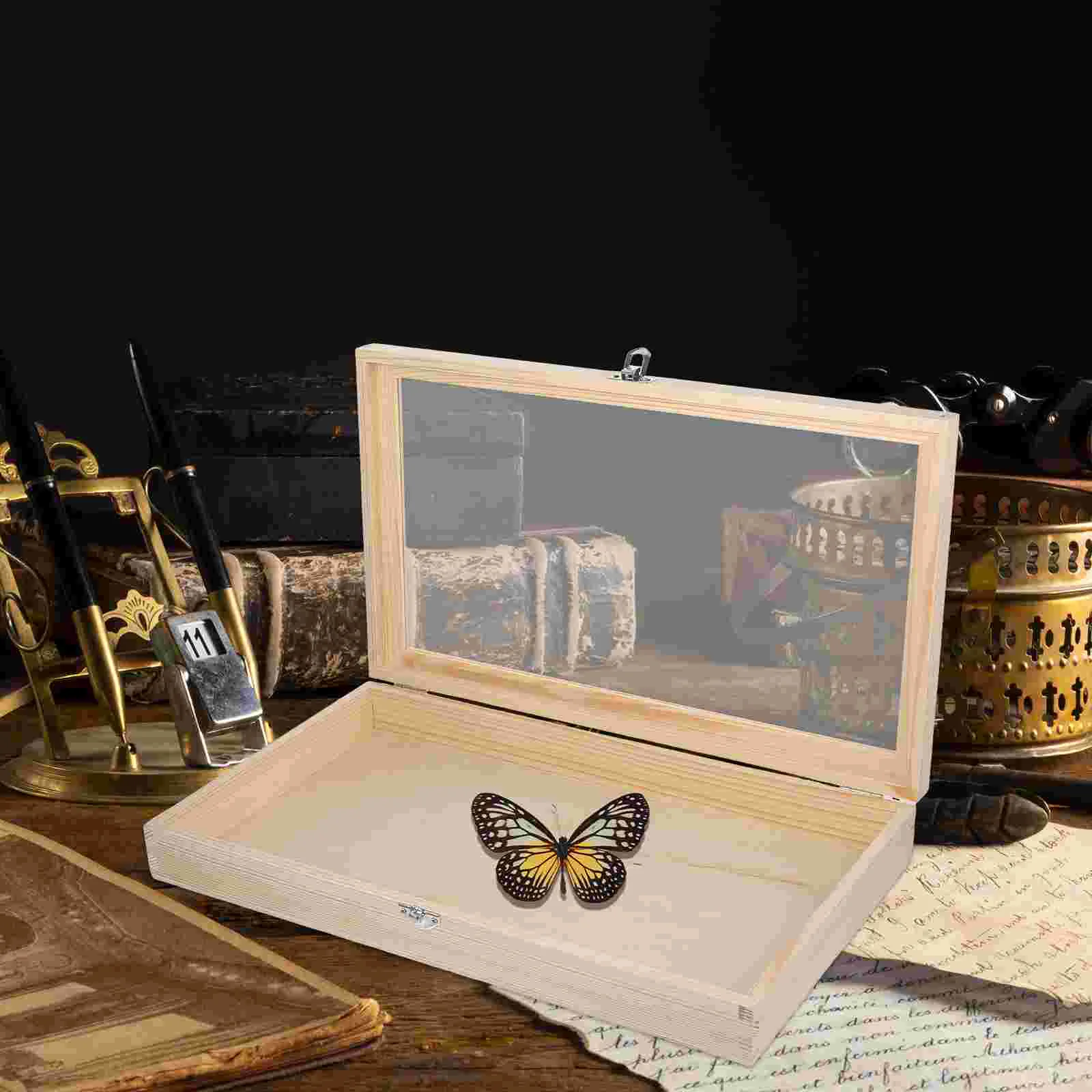 Fly Specimen Display Case Entomology Boxes Frame Storage Holder Butterflies Jewelry