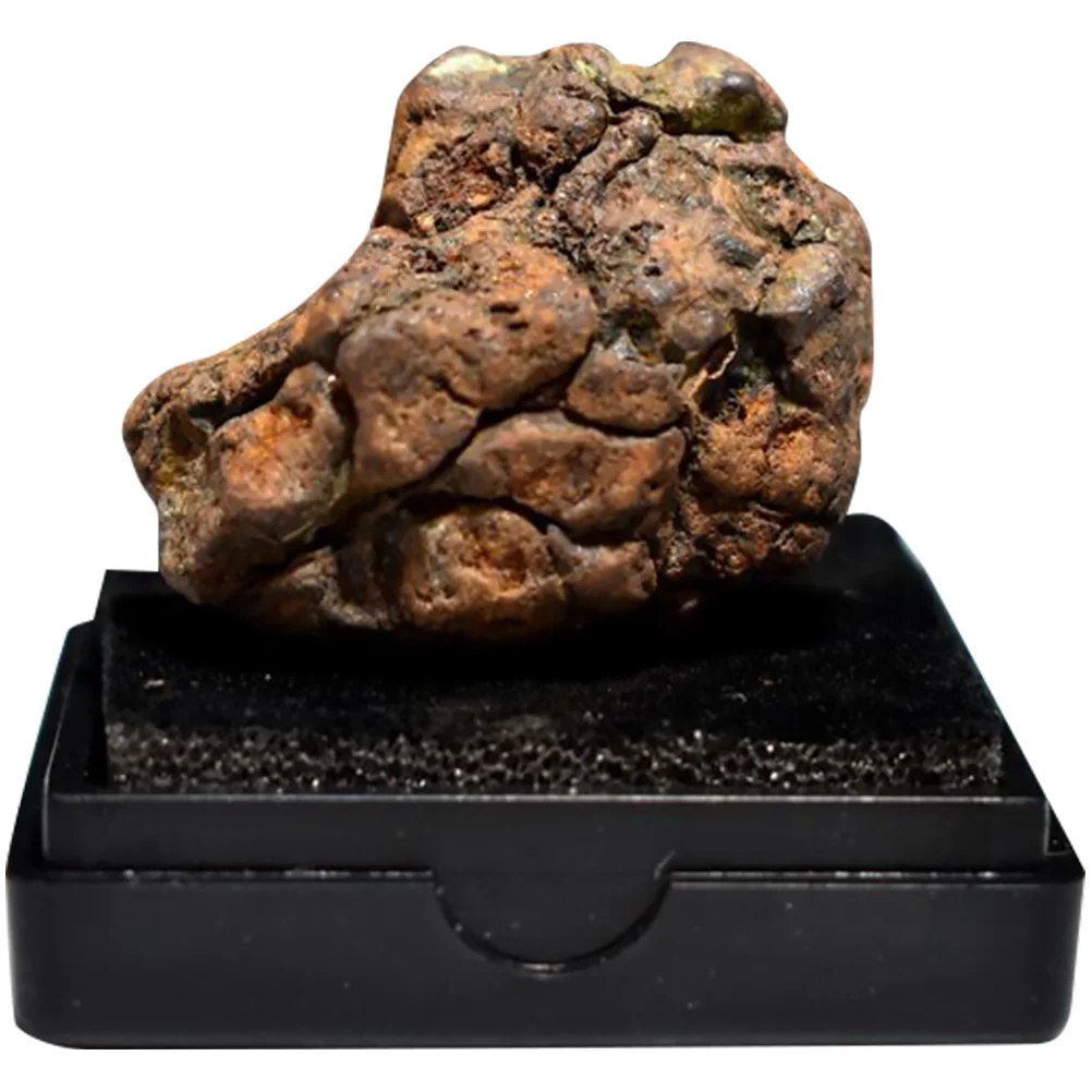 

Olive Meteorite Lithosiderite Model Decor Dining Table Desktop Adornment Educational Plaything Child