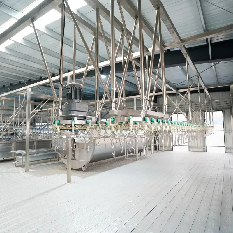 Custom Poultry Slaughter Processing Equipment Line for Chicken Turkey Duck Goose