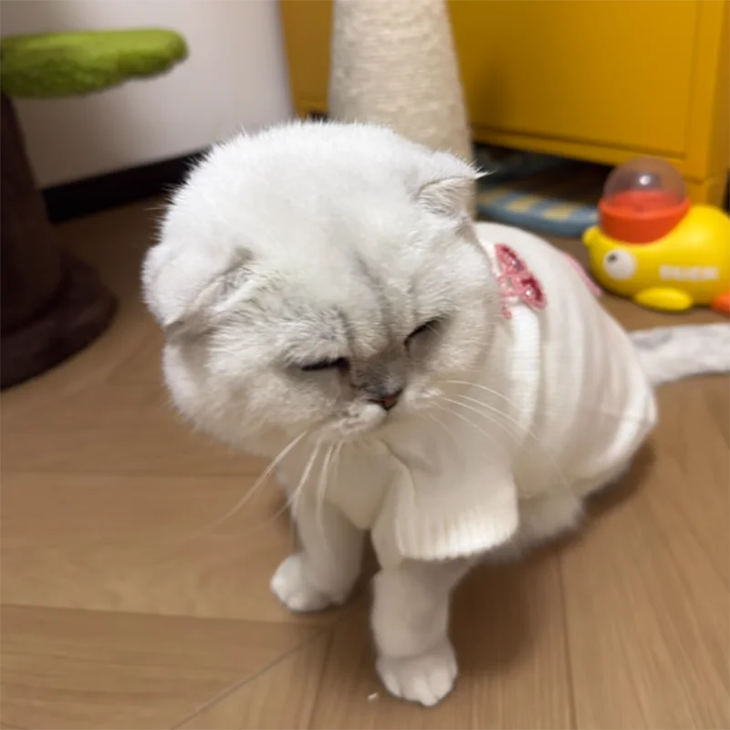 Thumbnail 3 - #62 Print Sweaters Deals & Discounts