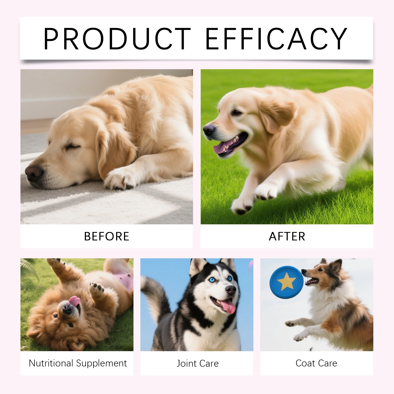 Gocce di Collagene per Cani -  - Hair Care Collagen recensione e prezzo