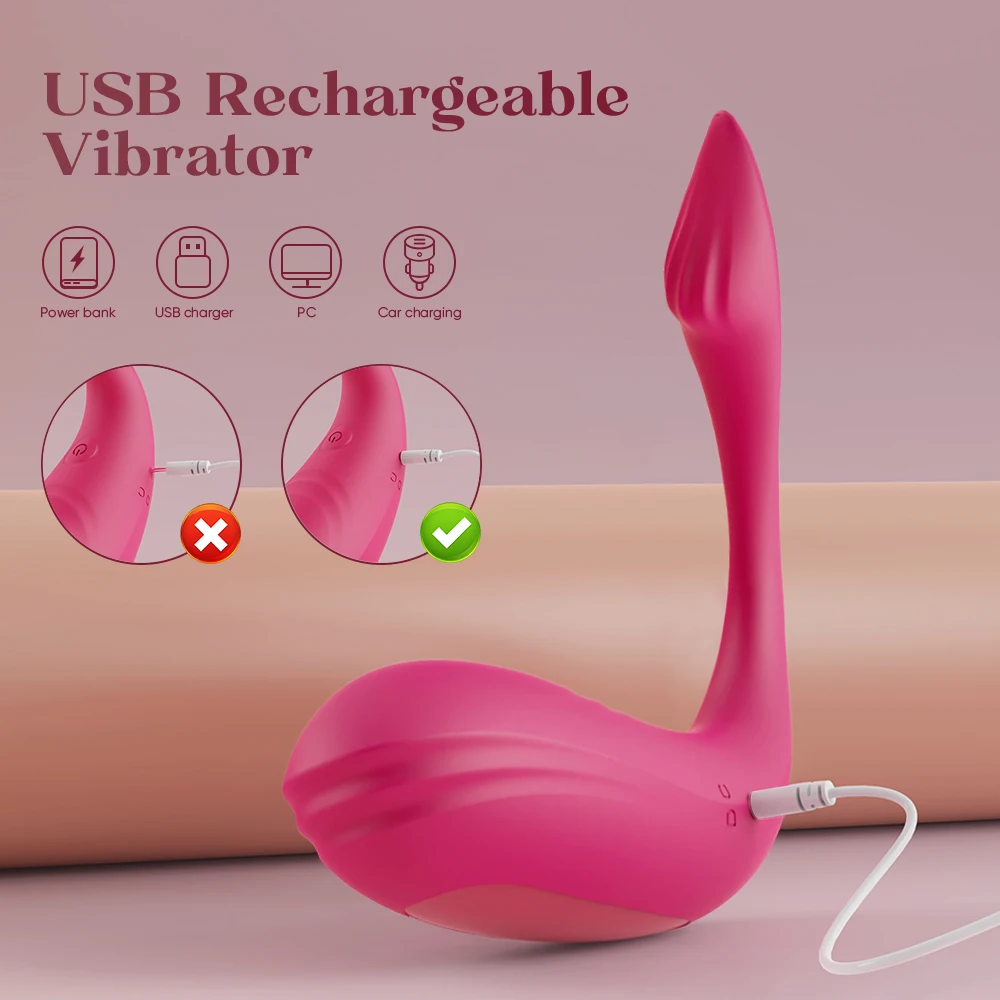 APP Control Clitoris Vibrator for Women Clit Stimulator G Spot Dildo Vibrating Female Wearable Panties Adults Sex Toys view 6
