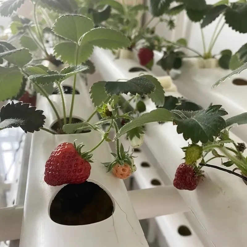 نظام أنبوب NFT المائي عموديًا - مجموعة النمو التجاري الصناعي PVC للزراعة الحضرية والدفيئة