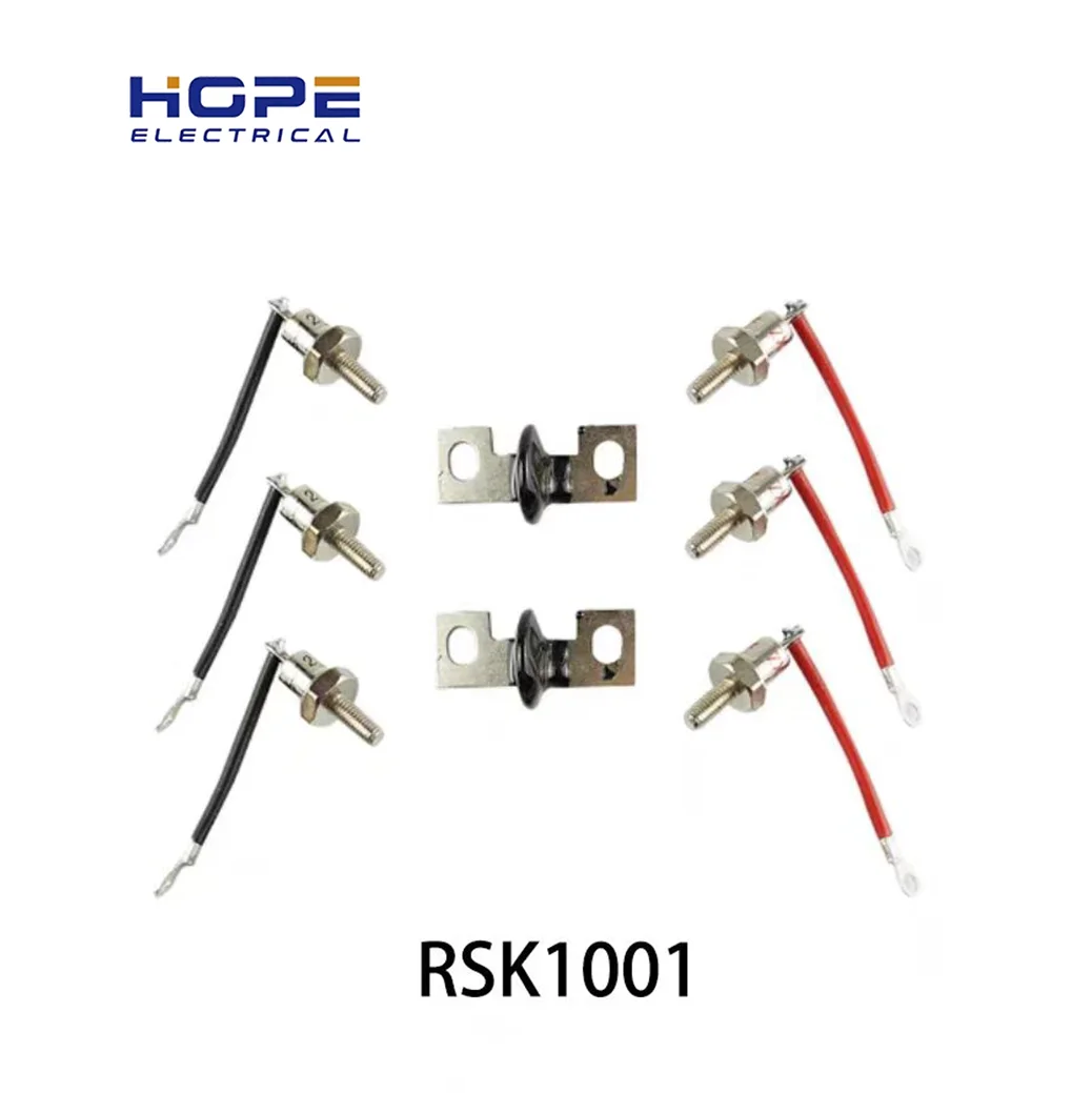 RSK1001 RSK2001 RSK5001 RSK6001 Generator Bridge Rectifier Diode RSK Series Rectifier Modules