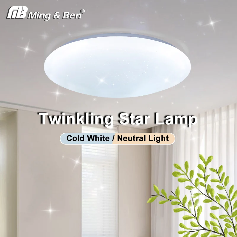 Modern LED Circular Ceiling Lamp 220V 16W Twinkling Starry Sky Effect Gentle for Bedroom Living Room Kitchen Hallway Home Decora