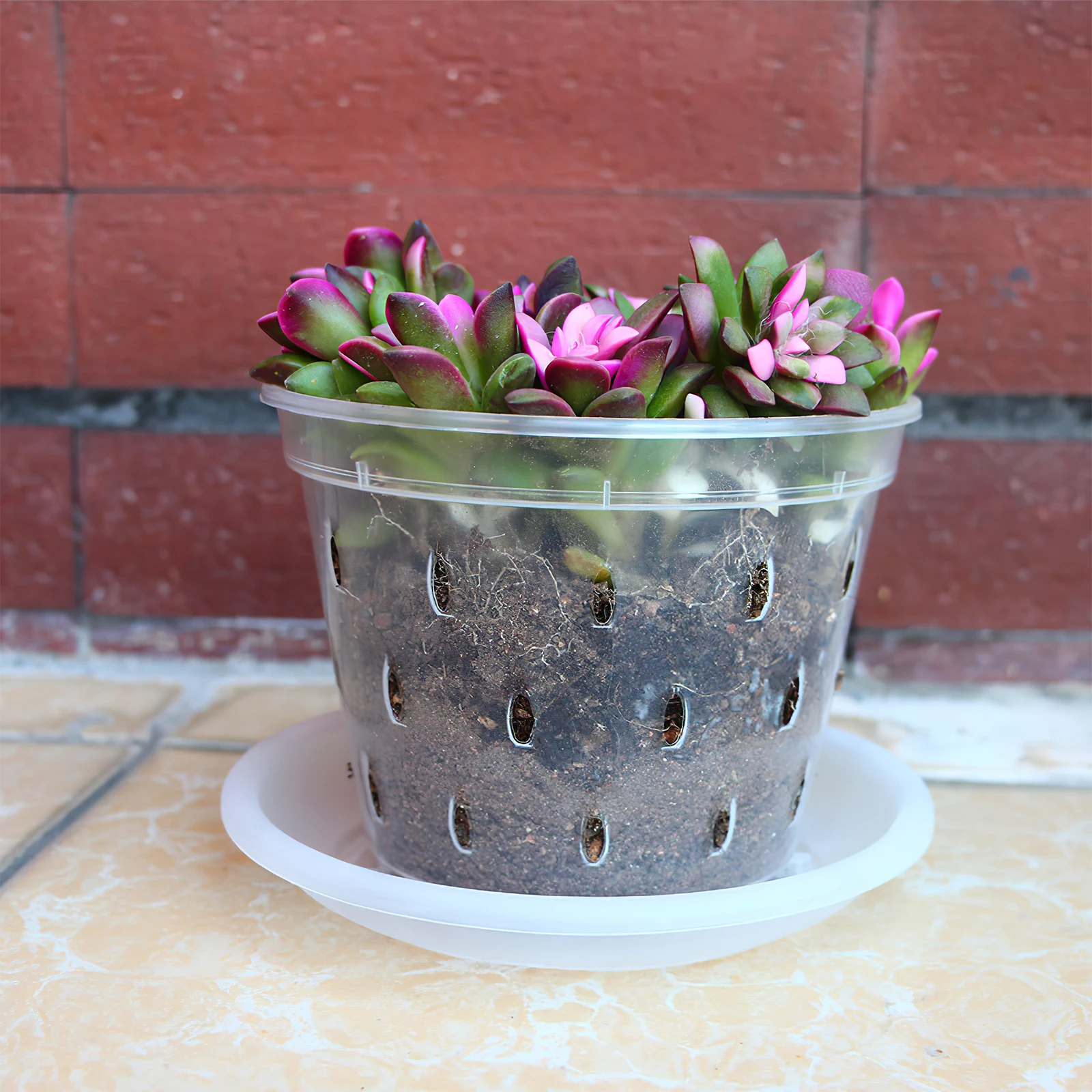 

9pcs Clear Orchid Pots with Holes Plastic Planters Lightweight Durable Drainage Airflow for Succulents African