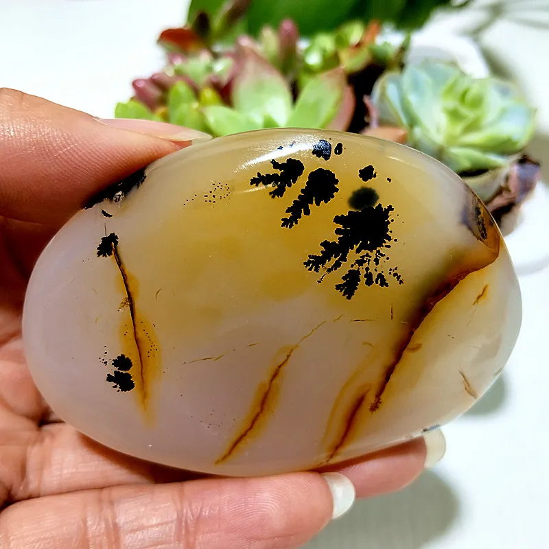 Natural Stone Waterplant Sea Agate Palm Stone Spiritual Meditation Energy Talisman Feng Shui Crystal Ornament