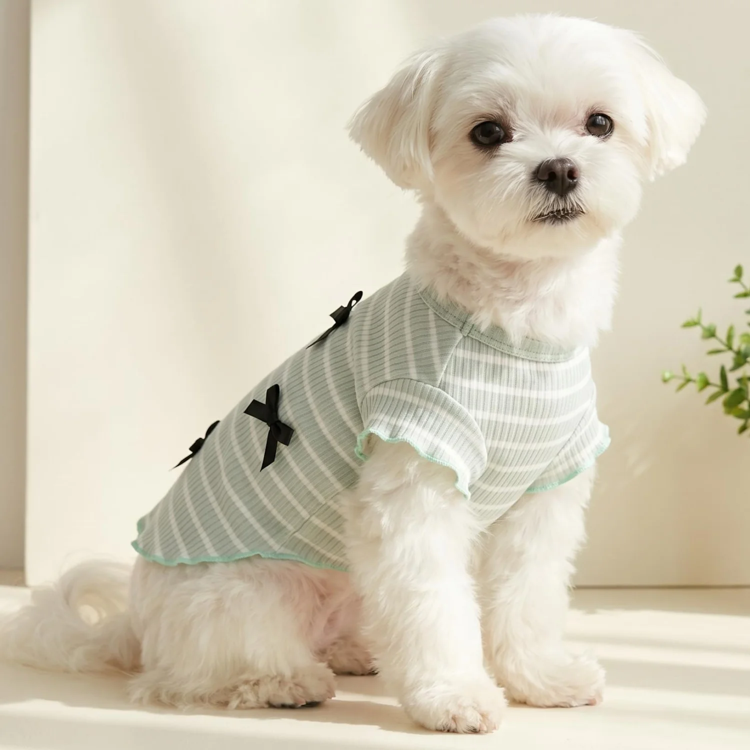 1pc Cute Bow Decoration Striped Dog Shirt Soft Stretchy Ribbed Knit Cat T-Shirt Spring Summer product image