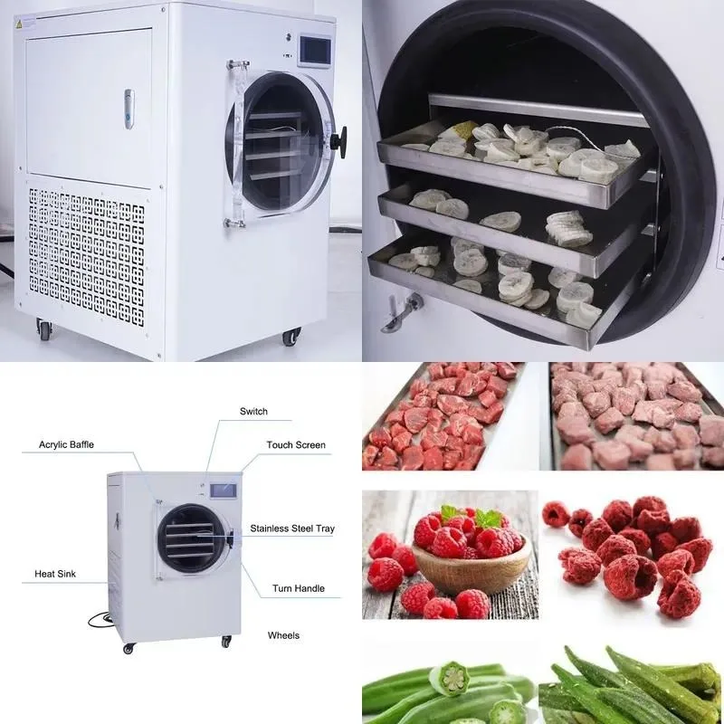 Mini Vacuum Freeze Dryer Household Small Food Drying Equipment for Fruits Vegetables Meat Pet Food