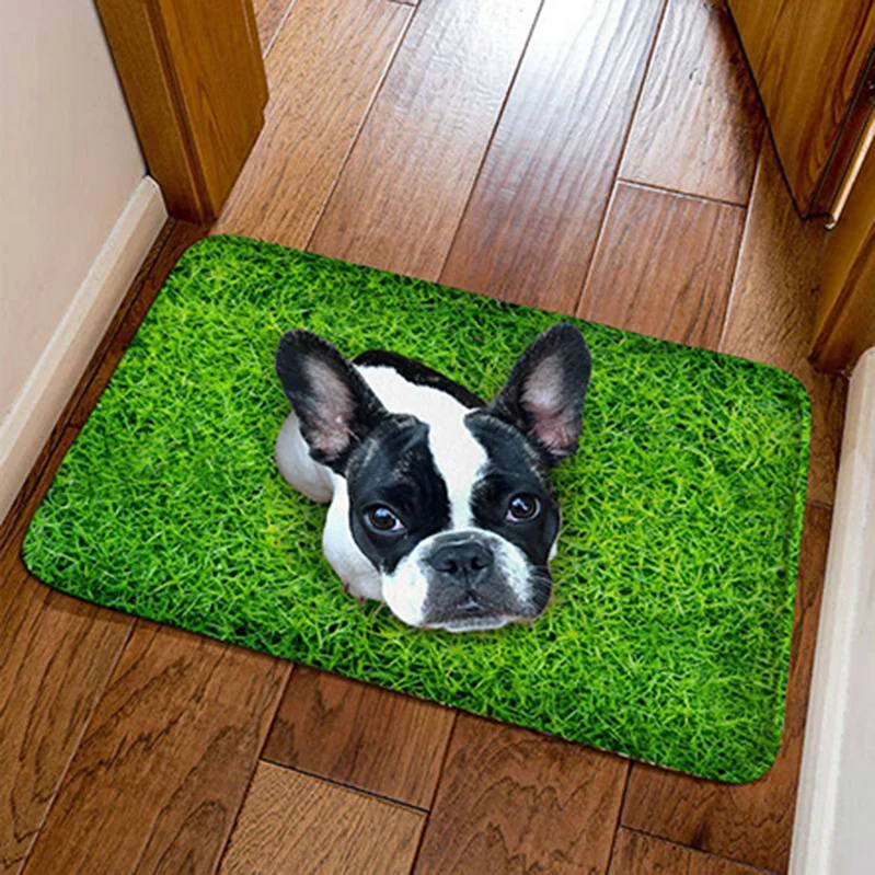 3D Flannel Printed Cute Pug Dog Entrance Doormat Floor Carpet Bathroom Bedroom Door Mat Bedside Rug Home Decor Kitchen Balcony