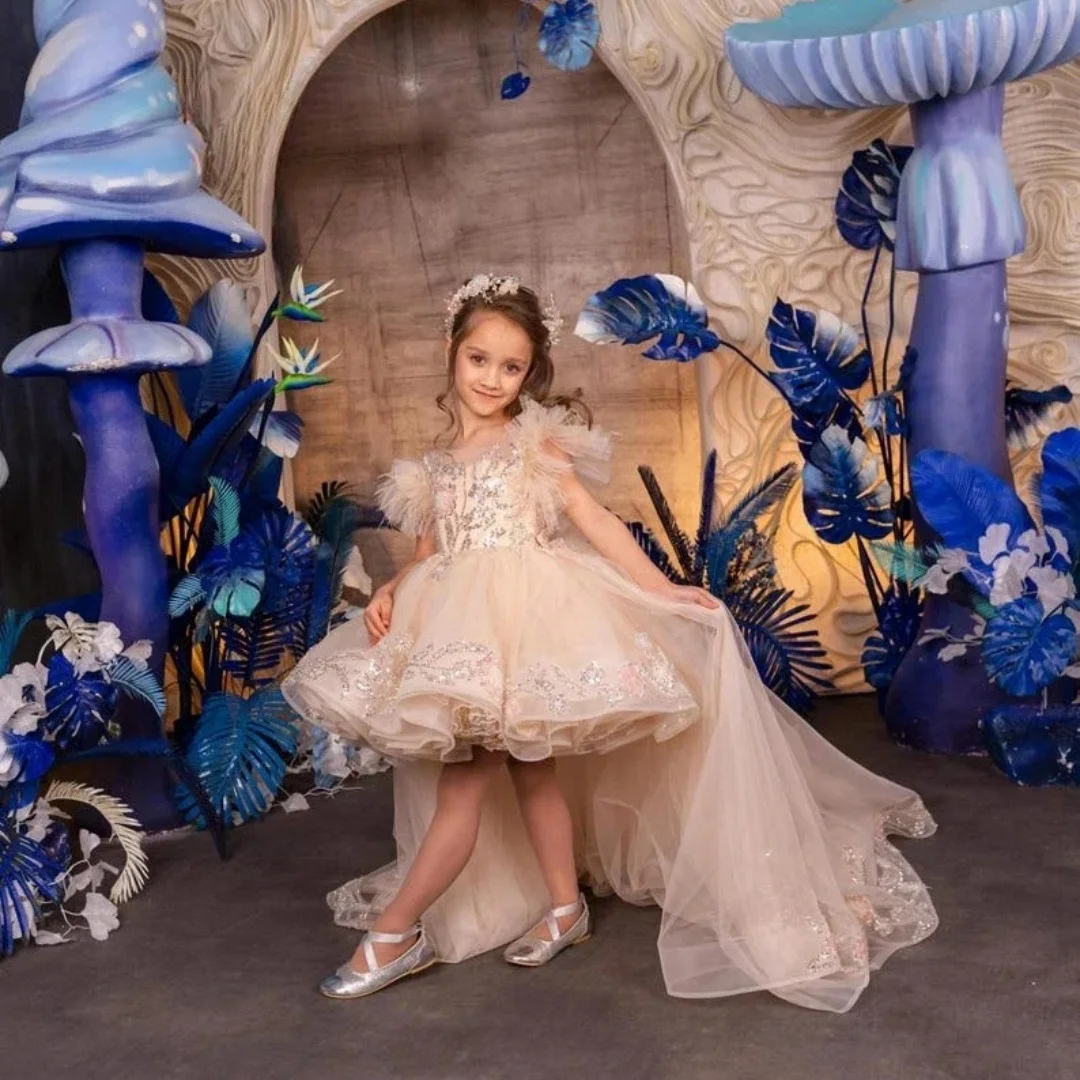 Pink Flower Girl Dresses for Wedding Princess Lace Appliques High-Low Length Baby Girl Birthday Ball Gowns Communion Customized