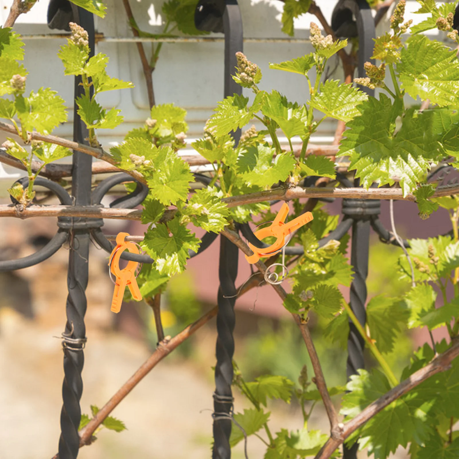 

12Pcs Plastic Tomato Support Clips Garden Plant Fixing Clamps Reusable Stem Vine Holder Strong Weather Resistant Easy to Use