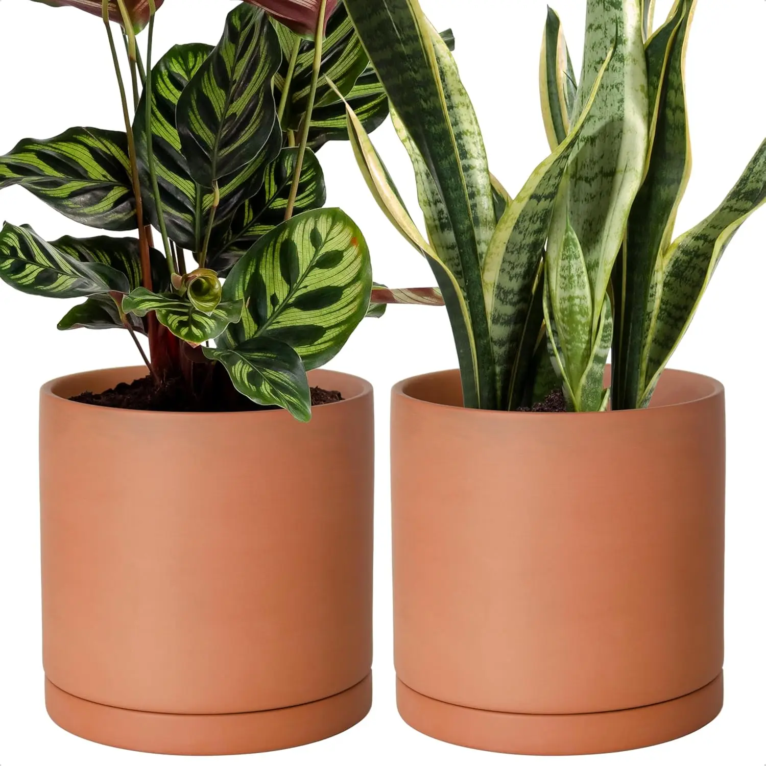 

8 Inch Terracotta Plant Pot Set of 2 with Drainage & Saucer, Round Cylinder Planter for Indoor Plants