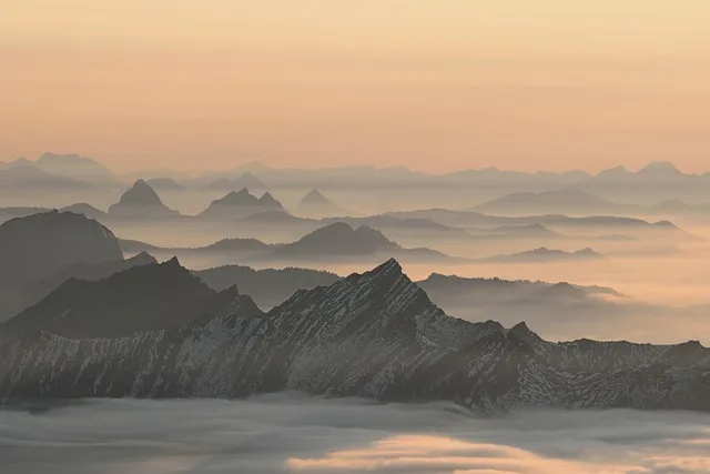 

Jumper T15 Long-Range Remote Controller Hall Gimbals Foldable Antenna for FPV Drone RC Airplane Hobby Accessories