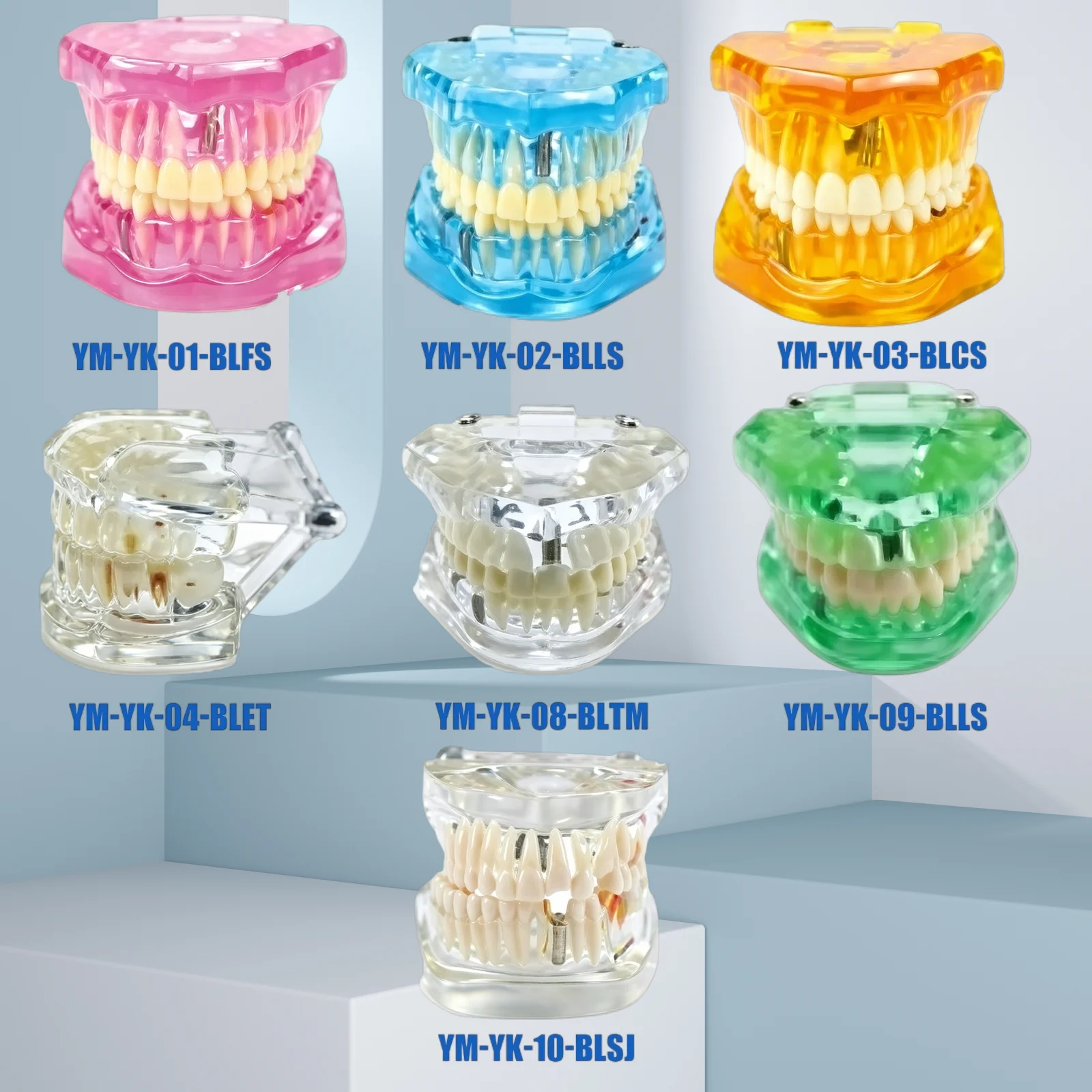 Multi Color Dental Pathology Model, Dental Teaching Model, Orthodontic Removable Denture Implant Model, Dental Materials