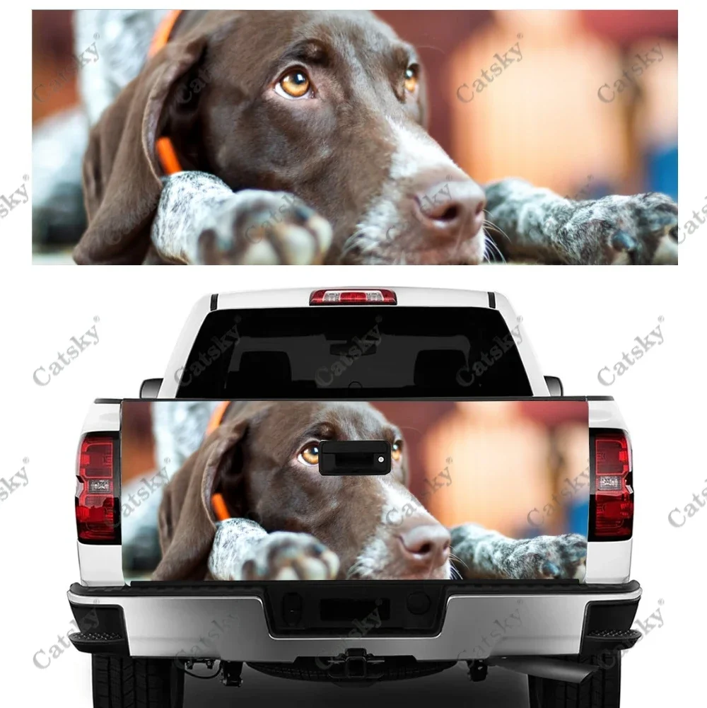 German Shorthaired Pointer Car Tail Trunk Protect Vinly Wrap Sticker Decal Car Decoration Sticker for SUV Off-road Pickup Truck