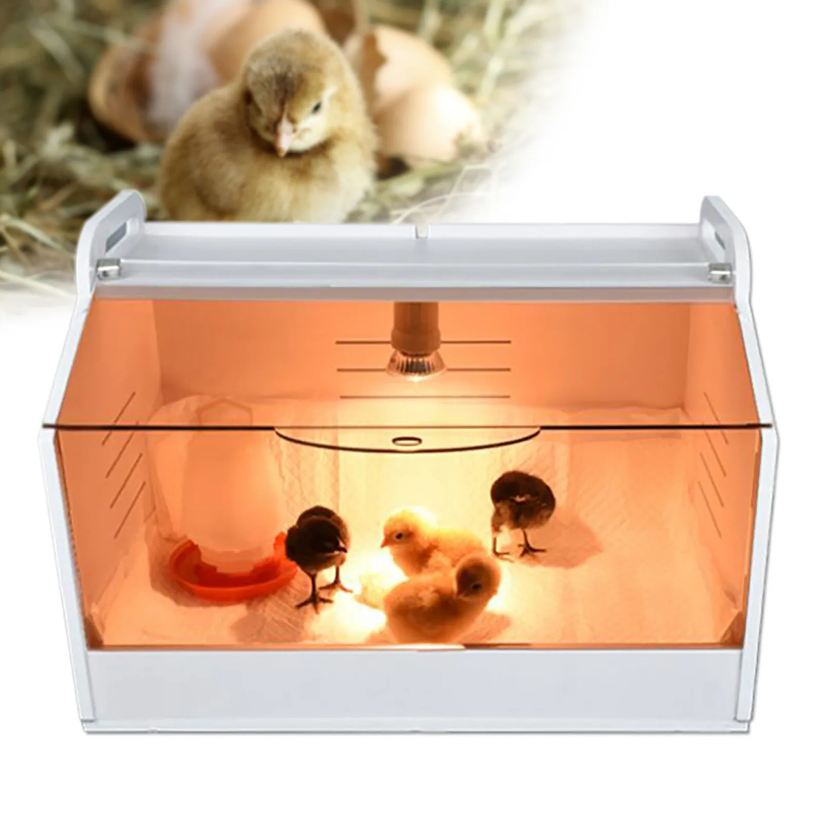 Incubadora de huevos giratoria totalmente automática para aves de corral de granja, Mini incubadora eléctrica para el hogar para pollos, gansos, patos y pájaros