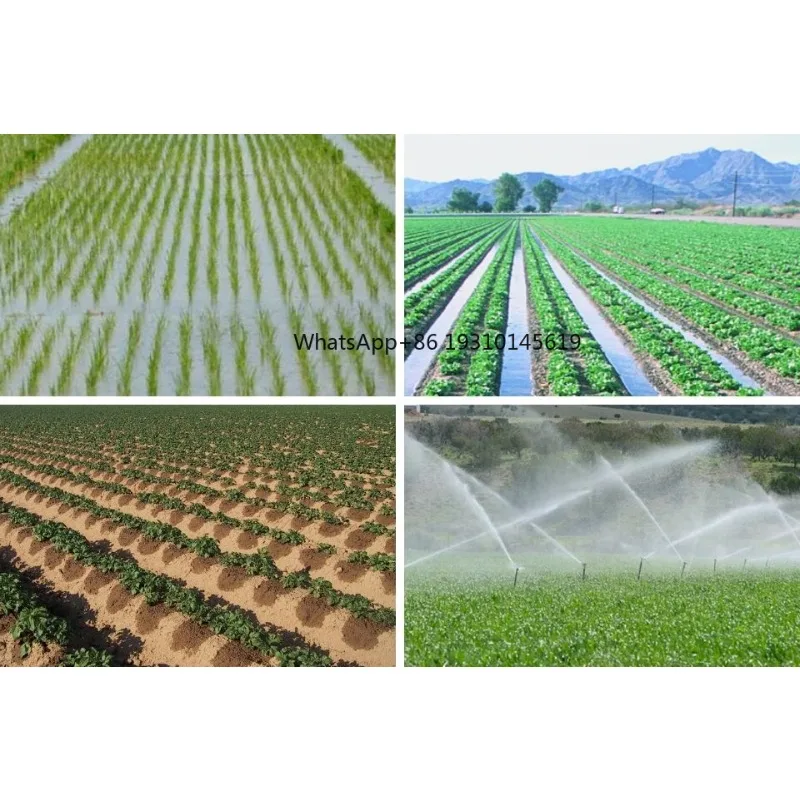 

【From China】2 Hybrid Solar Irrigation Water Pump Motor AC DC Electric Single Phase 4 Inch Agriculture Submersible Drilled Well