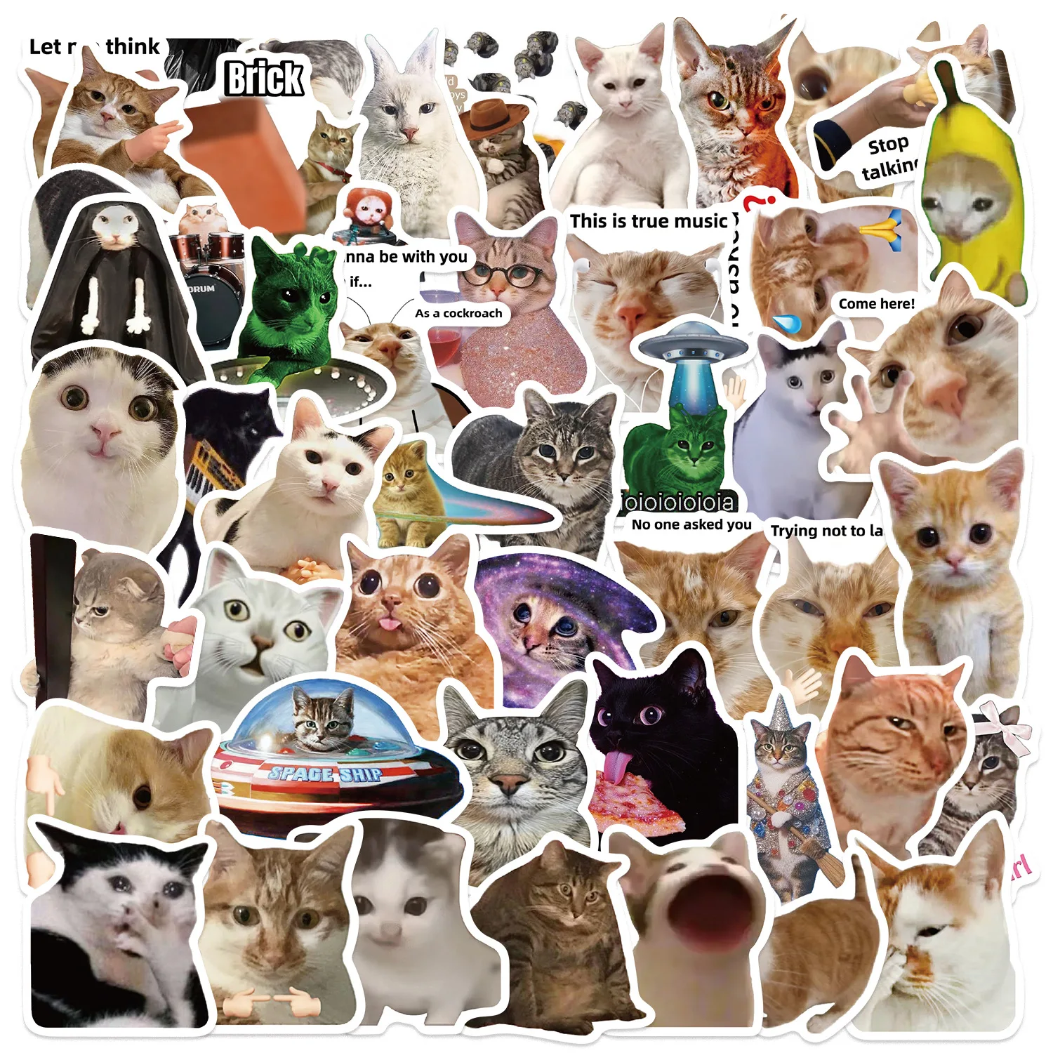 50 stücke Nette Lustige Katze MEME Tiere Graffiti Aufkleber Telefon Gitarre Laptop Notebook Koffer Tasse Wasserdichte Aufkleber Kinder Spielzeug