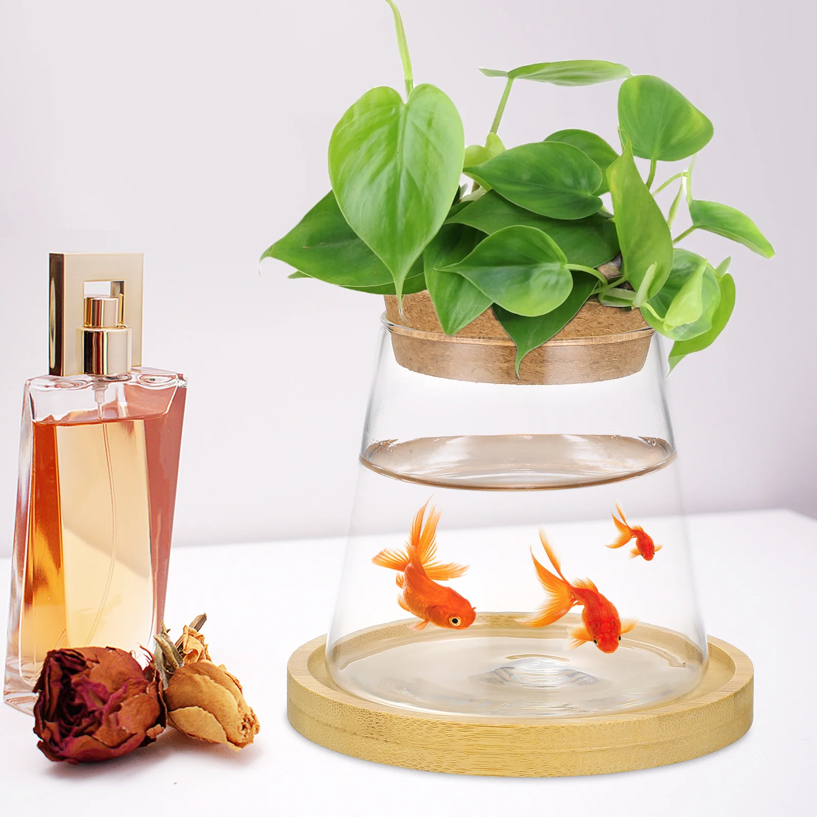 

Hydroponic Vase Glass Propagation Vase Desktop Planter Minimalist Design Strong Glass Versatile Planting Space Saving Decorative