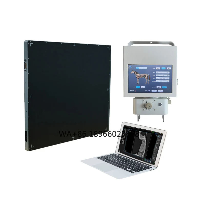 Máquina veterinária portátil de raio X digital DR 5kW para gatos e cães clínica para animais de estimação 100mA Máquina de raio X