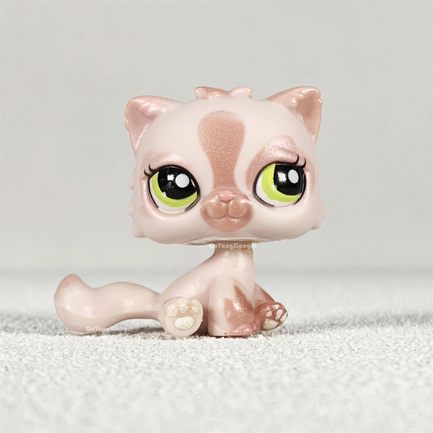 CWM Pet Shop Animal Cute cat doll action Figure kitten