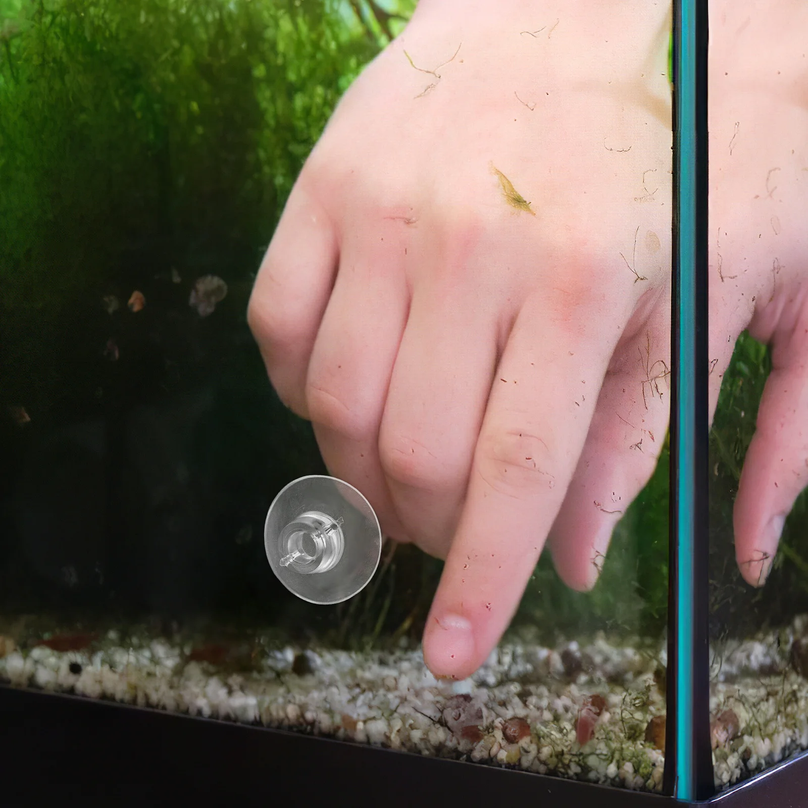 

20Pcs Clear Aquarium Suction Cup Planters Strong Attach Detach Fish Tank Decorations Aquarium Air Hose Suction Cups