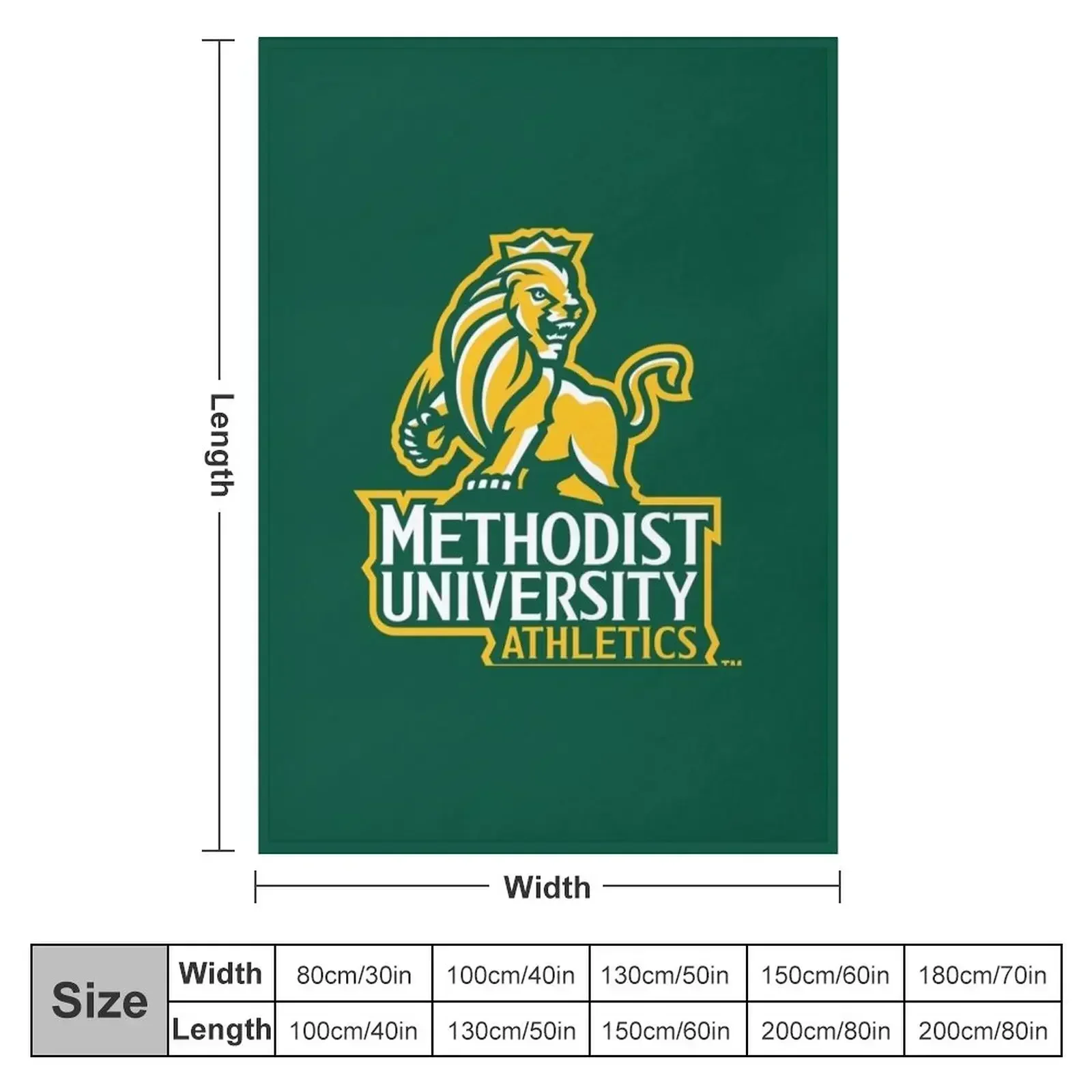 Methodist MONARCHS FAYETTEVILLE NC Throw Blanket