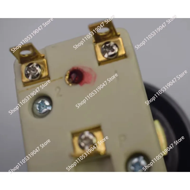 Pizza Oven Thermostat Thermostat Switch Knob Temperature Control High Temperature 500 Degree Electric Oven