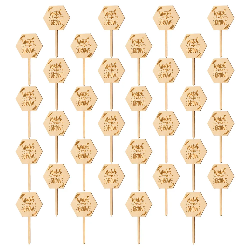 

40pcs Wood Plant Labels for Garden Succulent Card Stakes Indoor Signs Flower Identifying Boards Practical Gardening Accessories