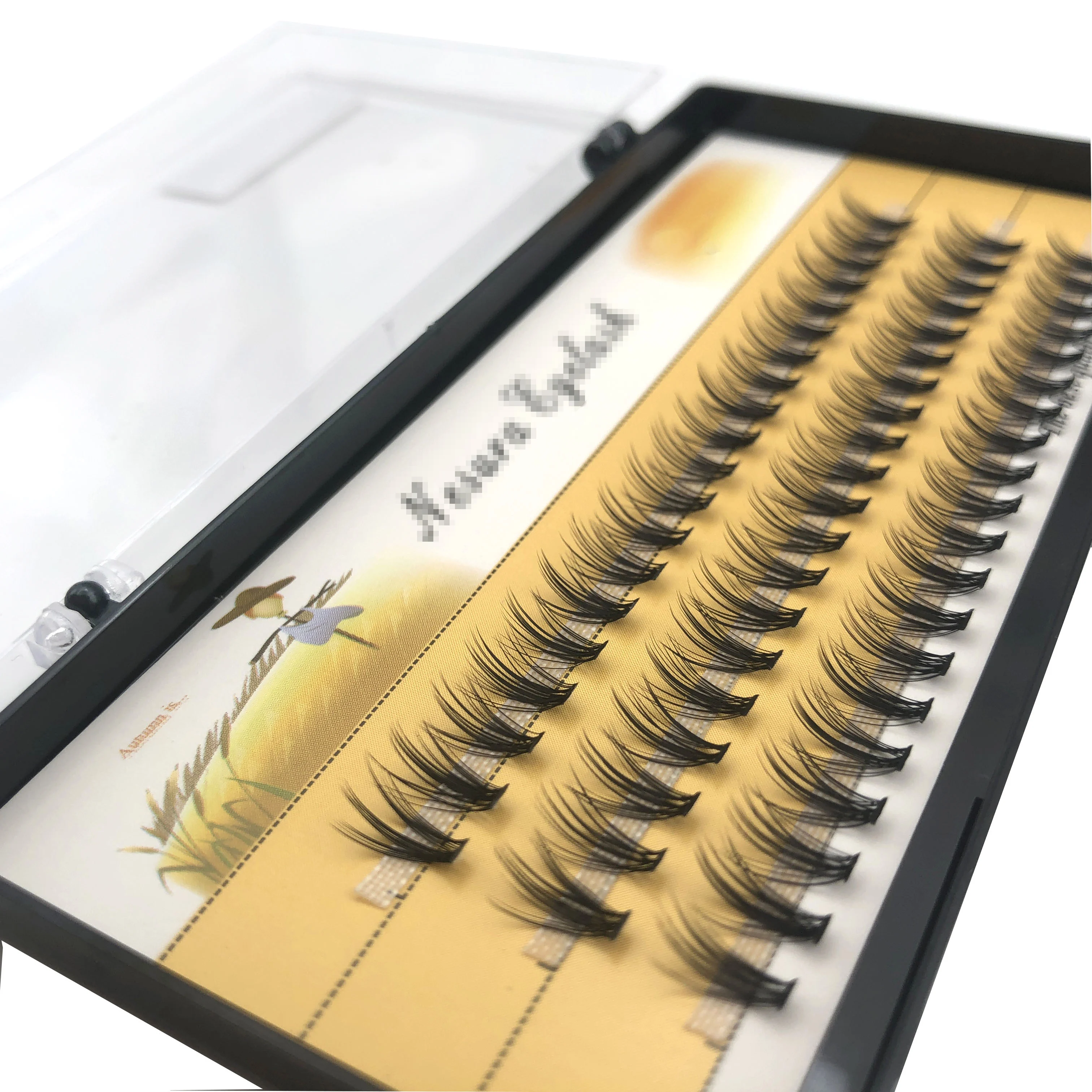 1 box 60 clusters 20/30D extension eyelashes, individual eyelashes, Natural Thick False Eyelashes, , Individual Eyelash Bunche