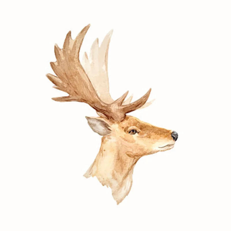 

For WPL B36-2 1/16 Metal Rocket Launcher Pipe Rc Truck BM-21 Grad 6x6 Vehicle 2-Speed Gearbox