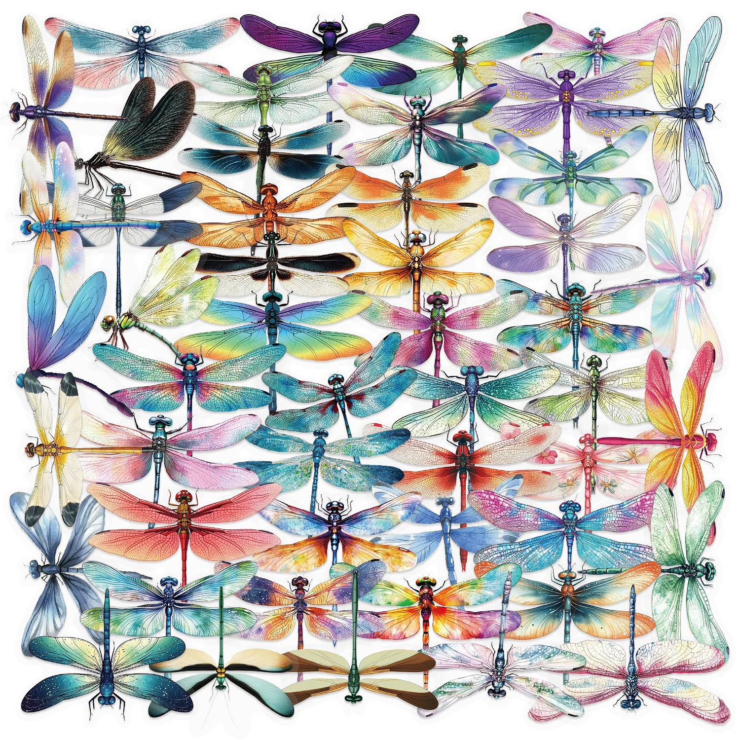 50pcs Dragonfly Waterproof Doodle Stickers Colorful Decorations for Car Laptop Phone Luggage Double Transparency PET Sticker﻿