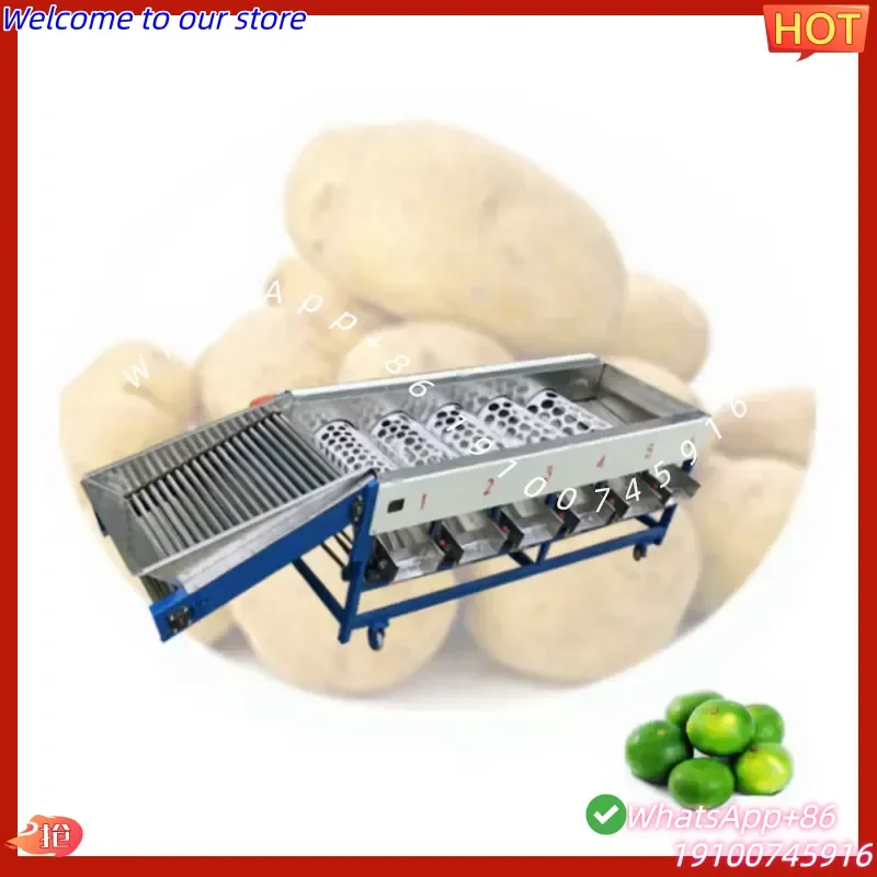 2026Hot Automatic Berry Sorter for Blueberry Cherry Olive - Gentle Size and Color Grading Machine for Delicate Fruits