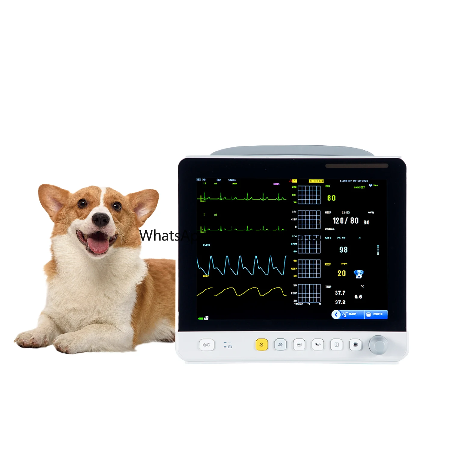 

Heart Rate Veterinary Vet Icu Surgical Vital Signs Multi-Parameter Medical Monitor