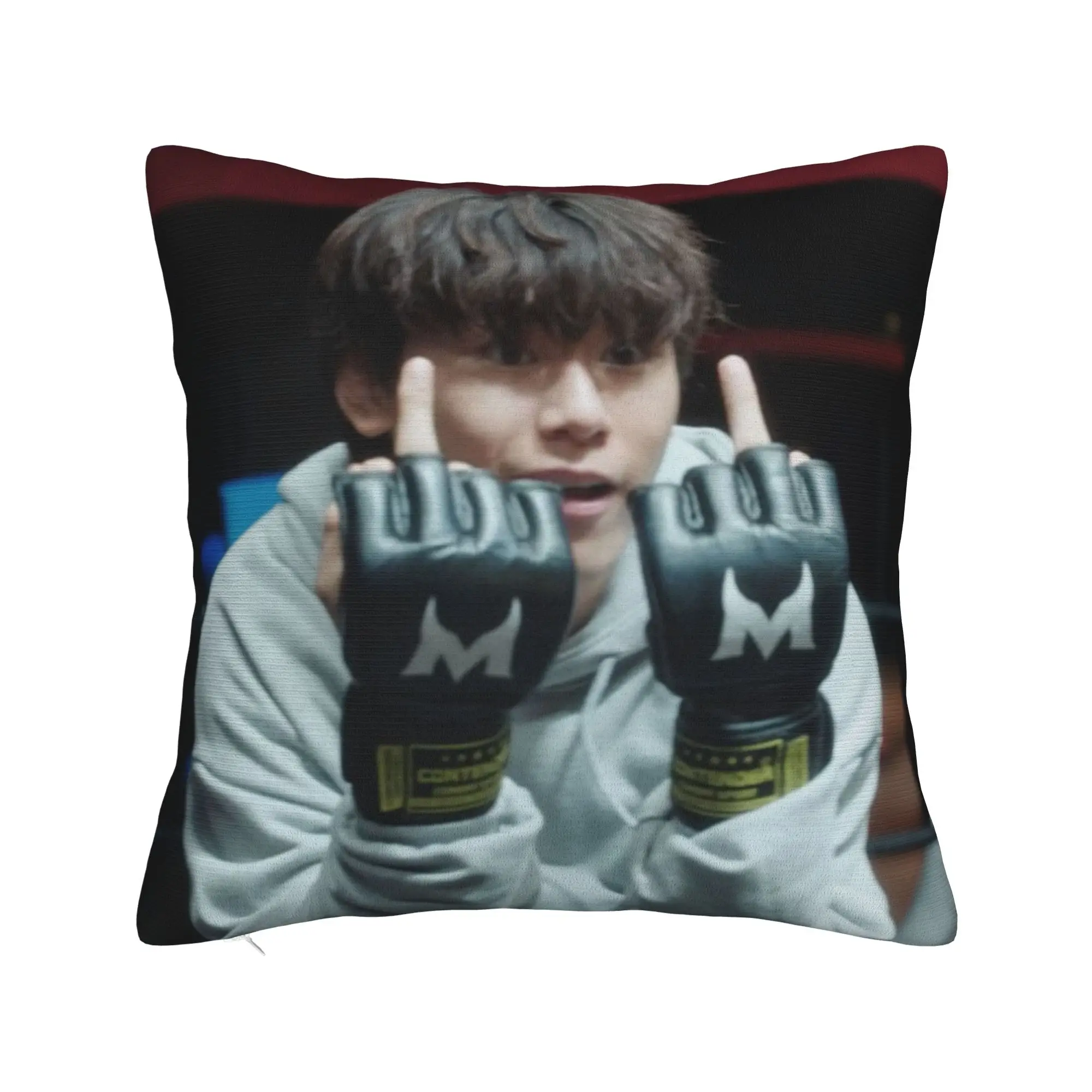 Pillow Case Hot Kdrama Weak Hero Class Design  Pillow Cover For Living Room Bed Chair Vintage Pillowcases