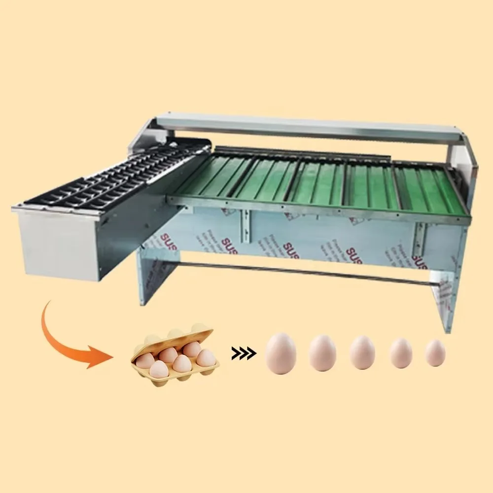 Automatic Egg Sorting Grading Machine Complete Egg Processing Line Egg Grading Packaging Machine Integrated Solution