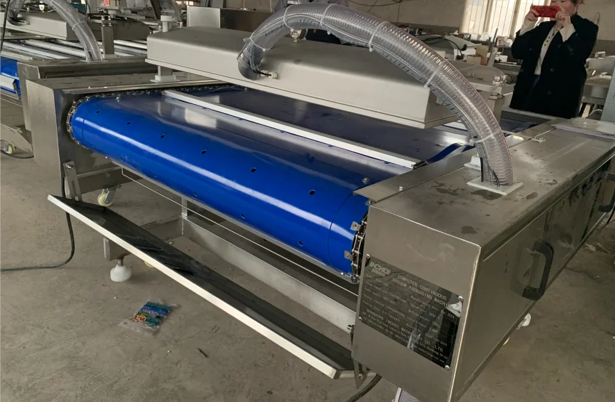 DZ-1100 Design Continuous Rolling Vacuum Sealers Packaging Machine for Food Direct Factory Delivery