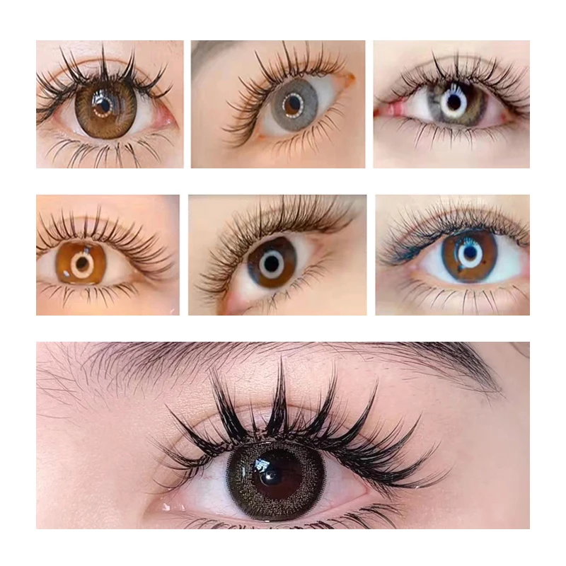 Estensione ciglia 5D Premade Ventilatori facili e grappoli per ciglia individuali con punte Strumento per il trucco delle ciglia classiche morbide e sottili opache