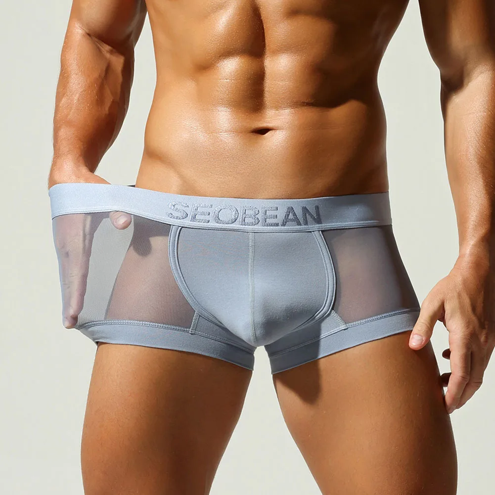 Men Sheer Mesh Underwear Boxers Shorts Breathable Thin Soft Bulge Pouch Low Waist Man Boxer Trunks Undershorts