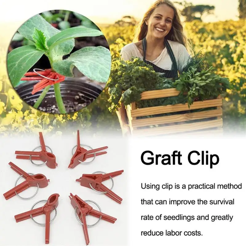 50PCS Plants Graft Clips Flat/round Mouth Plastic Clips Garden Tools For Cucumber Eggplant Watermelon Vegetable Trellis Clips