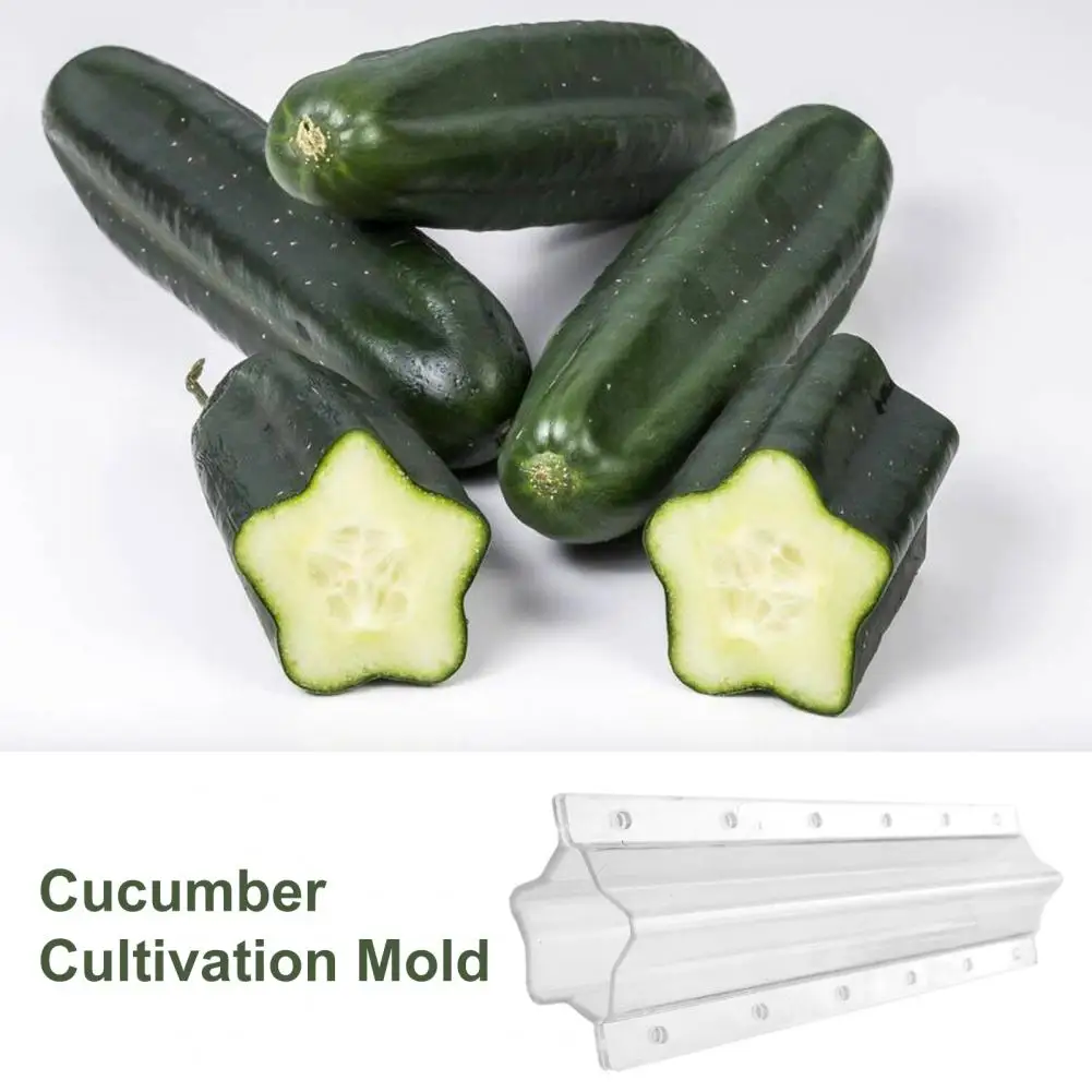 Cucumber Shaping Accessory Heart Star Shaped Cucumber Growing Molds for Garden Vegetables Non-toxic Vegetable Shaping for Easy