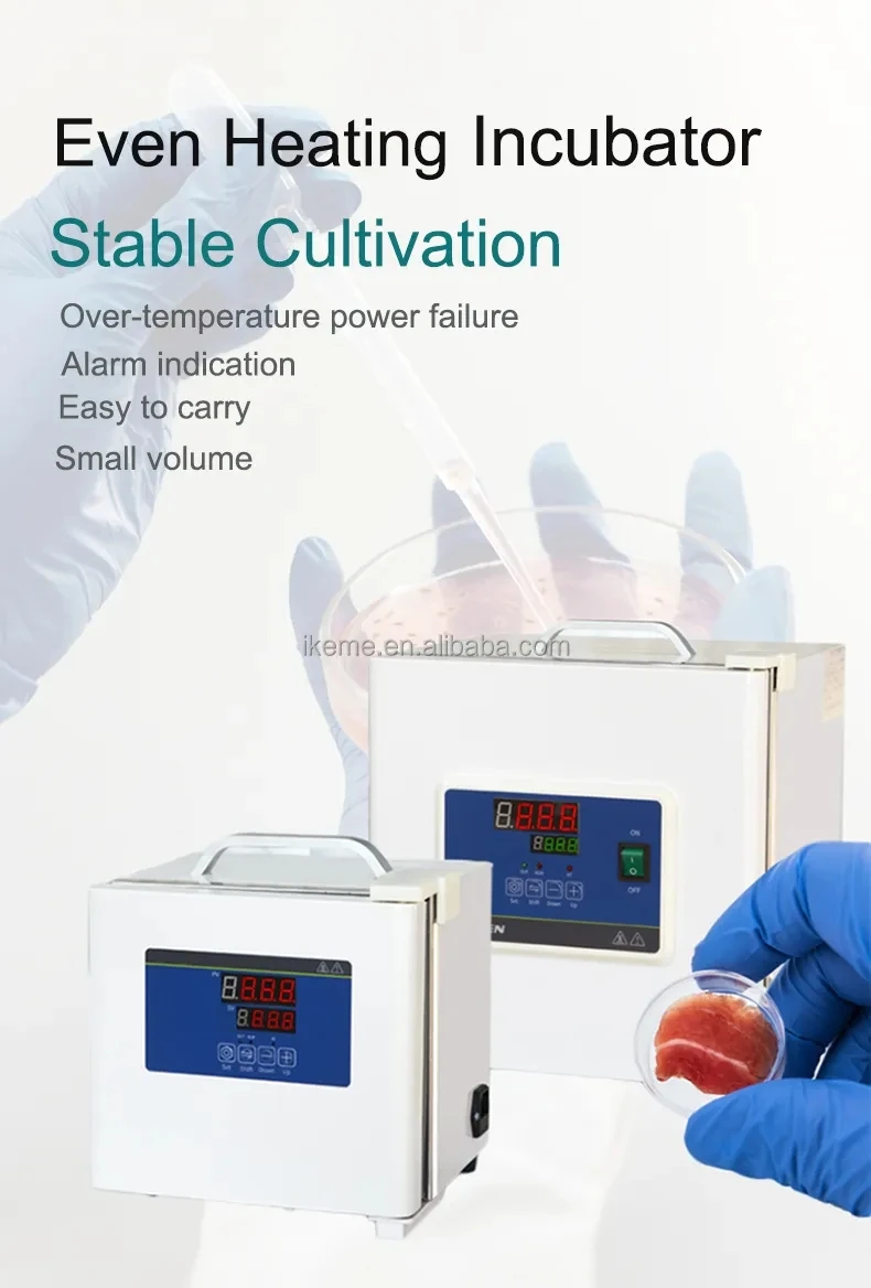 Perangkat Termostatik Laboratorium IKEME 7,4L 10 Liter Harga Inkubator Kecil Inkubator Mini Portabel Lab Bakteri Mikrobiologi