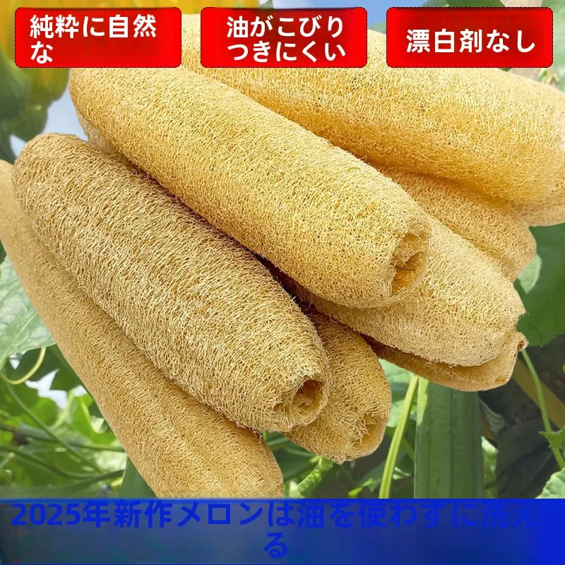 

Натуральная губка из огуречной шелухи для мытья посуды, кухонная мочалка, губка для чистки кастрюль, средство для удаления жира, бытовой чистящий инструмент